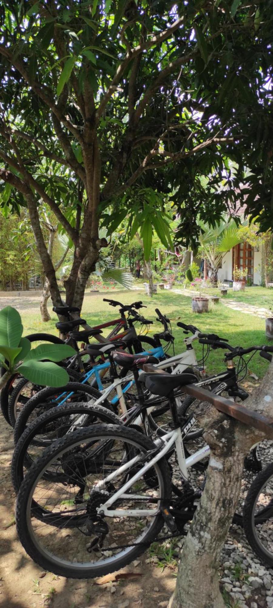 Blue Garden Yogyakarta Hotel Bangunjiwo Buitenkant foto